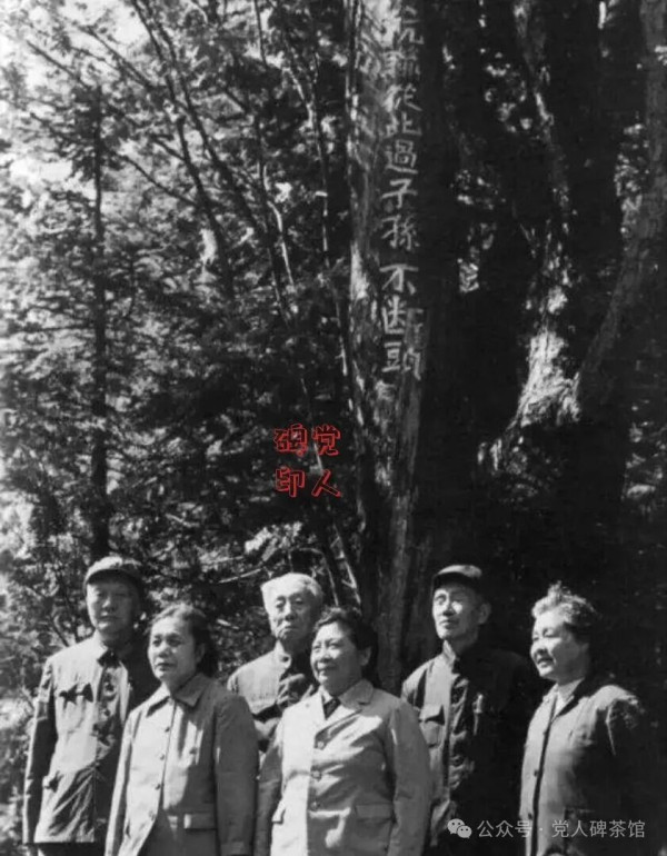待到胜利重逢时：抗联夫妻的故事