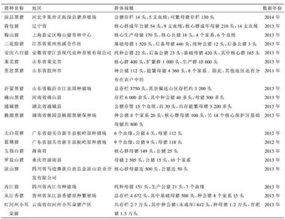 美国种猪落地武汉的背后,是一部中国土猪的消亡史