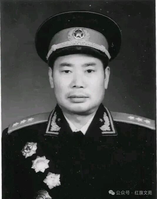 杨得志上将:“那是让人民群众先富起来,不是让你们这些干部子弟!”