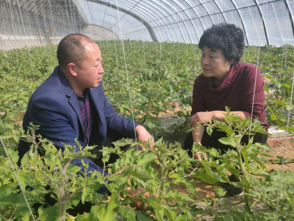 周喜俊：从“飞行梦”到“大棚梦”