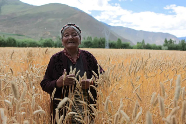 翻身农奴把歌唱：两位西藏女儿翻天覆地的人生故事