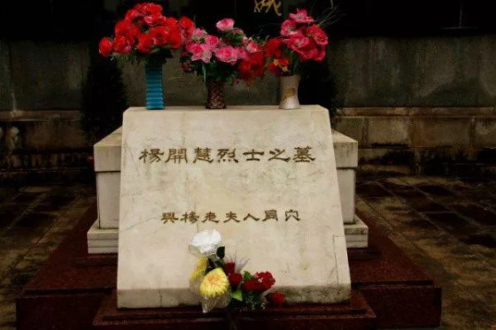永远的骄杨——纪念杨开慧烈士牺牲89周年
