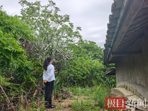 违背张桂梅忠告的女孩们,走出大山后又回到大山