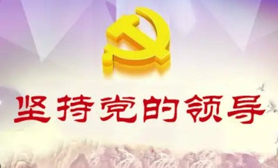 北大教授路风:中国经济能够高速增长主要依靠什么?