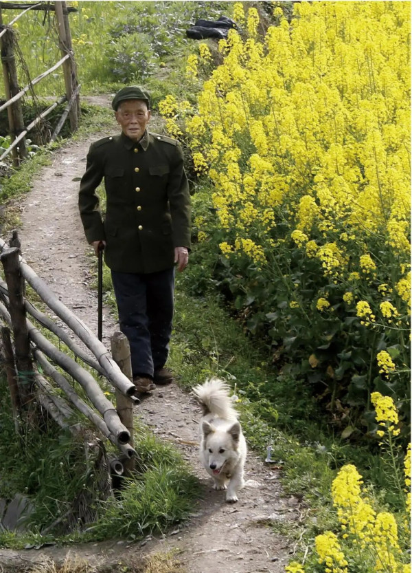 张元才:红军医院没有房子,找炮弹打不到的死角安置伤员