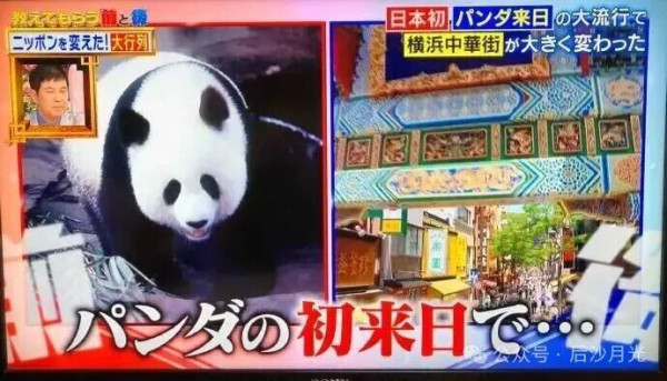 日本“降级”中日关系，透着一股绝望的气息！