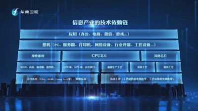 胡伟武:将自主进行到底
