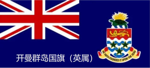 周小平：网络巨头为何问题频出？