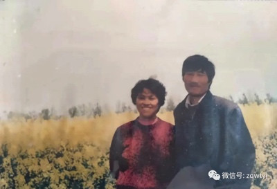 绿树长青有深根——下乡知青张翠梅的“再下乡”