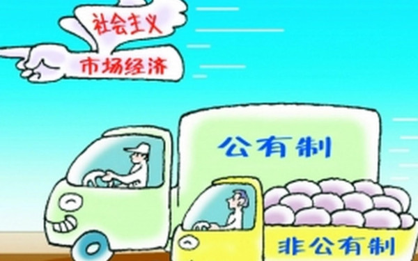 张作云：评价某种所有制优劣的“标准”是什么？