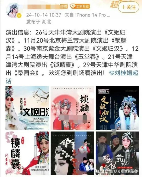不能仅仅取消她的演出,还应该追究她的法律责任