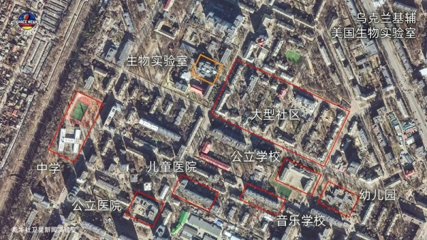 麦卡锡要调查新冠病毒起源?我赞成!但他敢来真的吗!