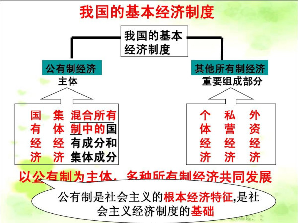 何干强：守住公有制的主体地位才能守住国家安全的经济底线