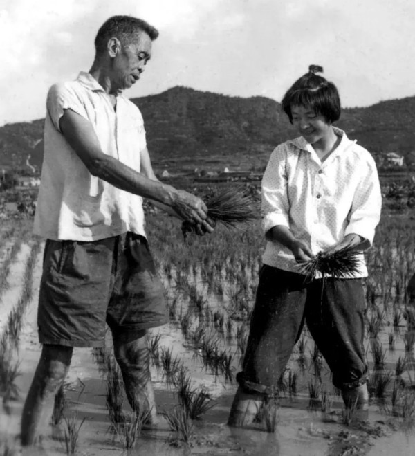 这位“农民将军”为什么能做到“零特权”家风?