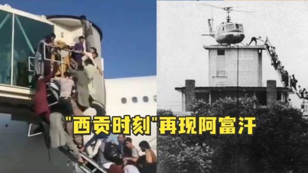 特朗普成了自己口中的那个“蠢货”!