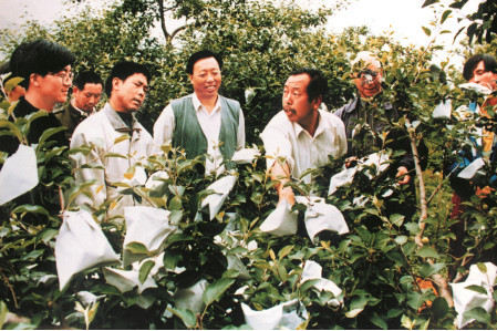 内丘县岗底村共同富裕的秘密：党组织领导咱抓生产