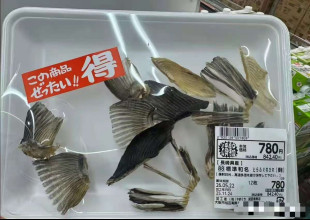 “民主”“自由”填不饱肚子