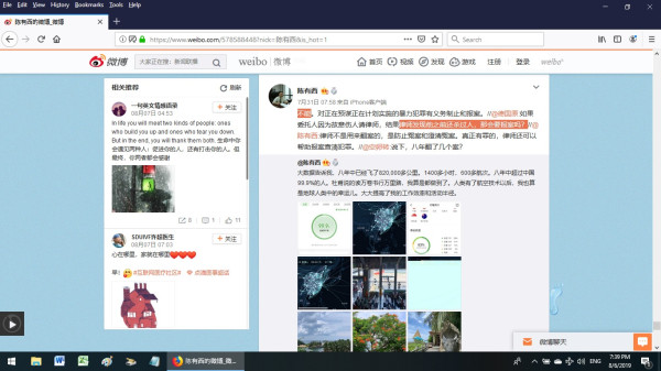 辛有东：法律党乱香港