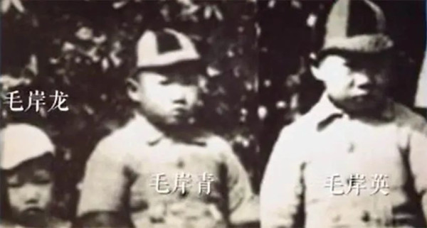毛岸英毛岸青曲折的赴苏历程