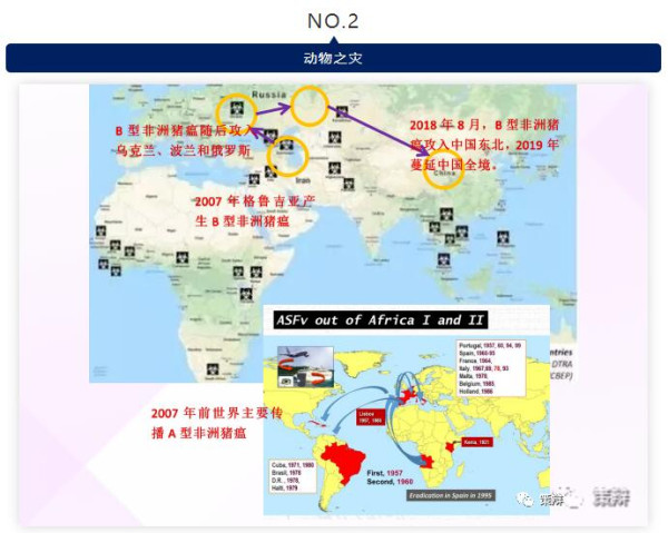 21世纪世界所有生物灾难，都与这张图有说不清道不明的关系