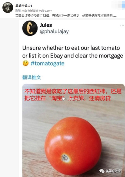 英国再现副食粮票,美版拼多多爆红,欧美人民生活在经济濒临崩溃的边缘!