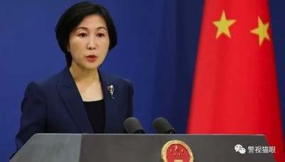 天天嚷着要中国放开,现在又开始限制中国人了?