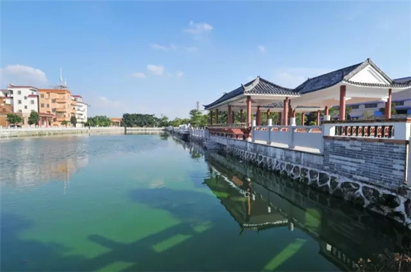 徐宜发:在商海中大干社会主义