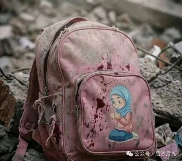 全世界最可悲的丧家犬！