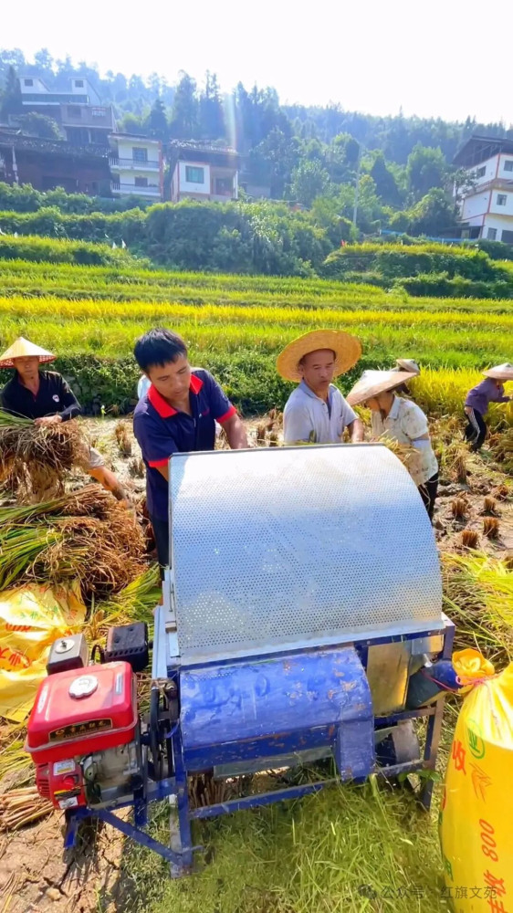 说农民种地暴利的专家，不配给他饭吃！