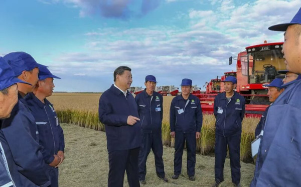 习近平总书记的交粮凭证