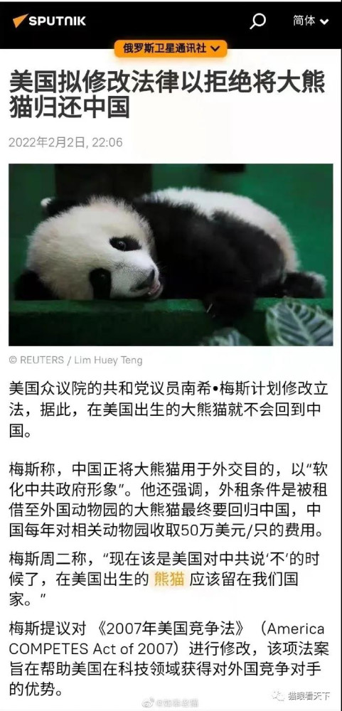 美国人,你这是连大熊猫都想抢了?