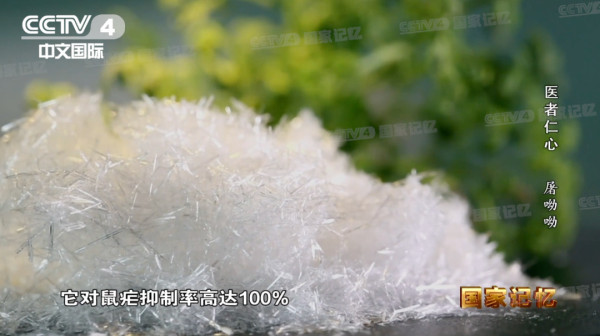 她和女儿骨肉分离数年，却挽救了近千万人的生命