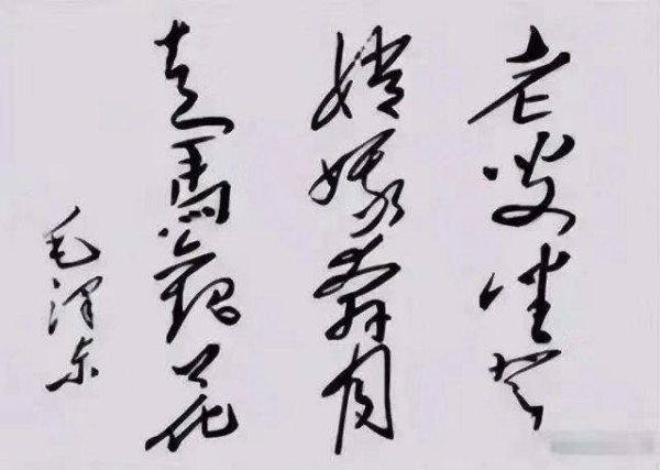 彭光谦：毛泽东主席为尼克松的题字浅析