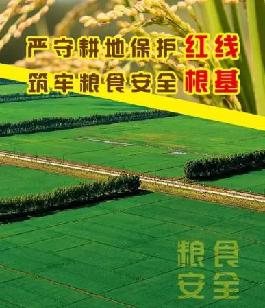 何干强：守住公有制的主体地位才能守住国家安全的经济底线