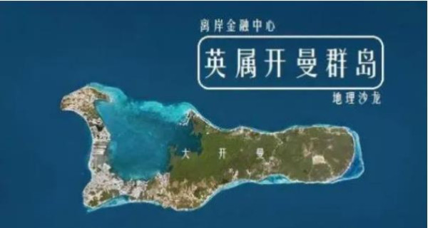 周小平：网络巨头为何问题频出？