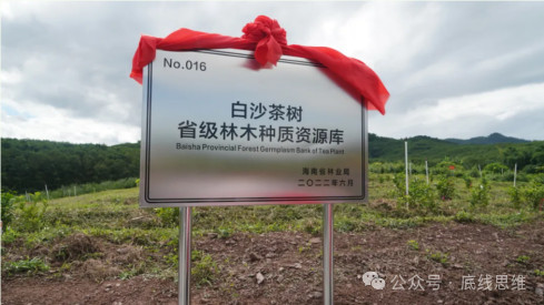 被外国间谍盯上的“亲本种子”，有多珍贵？