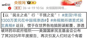 美国1300万美元的“民主经费”，公知拿了多少？
