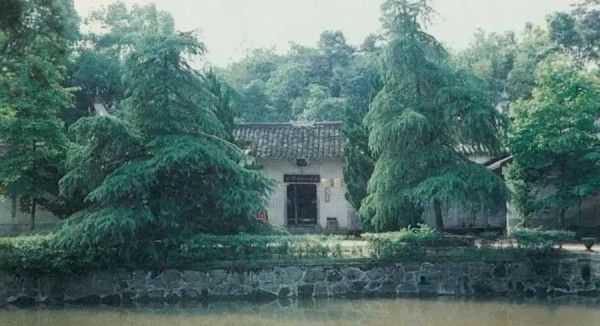 百岁女红军陈琮英,与任弼时生死与共的“无名英雄”