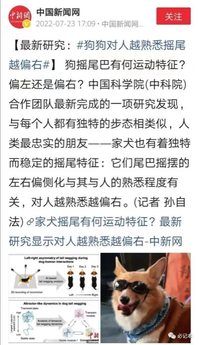 学术注水对学术的侵蚀比学术不端更普遍、更严重