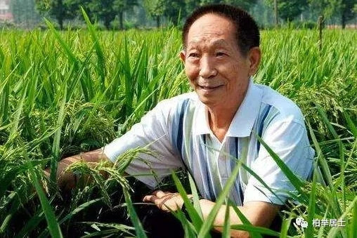 明星与院士：关乎国本的对比