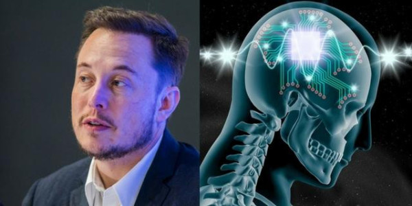 莫宅：马斯克所谓制造“硅基⽣命”纯属扯淡！