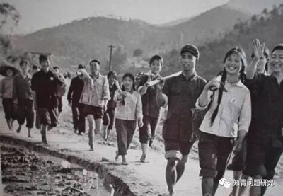 回忆母亲在知青办工作的岁月