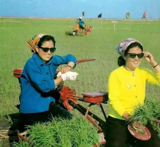 美国和朝鲜，谁才是流氓政权？
