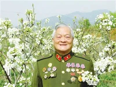 原云南作协副主席彭荆风，批评莫言书籍诅咒人民革命事业