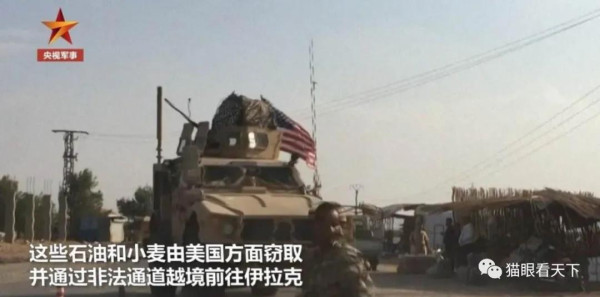 美国人,你这是连大熊猫都想抢了?