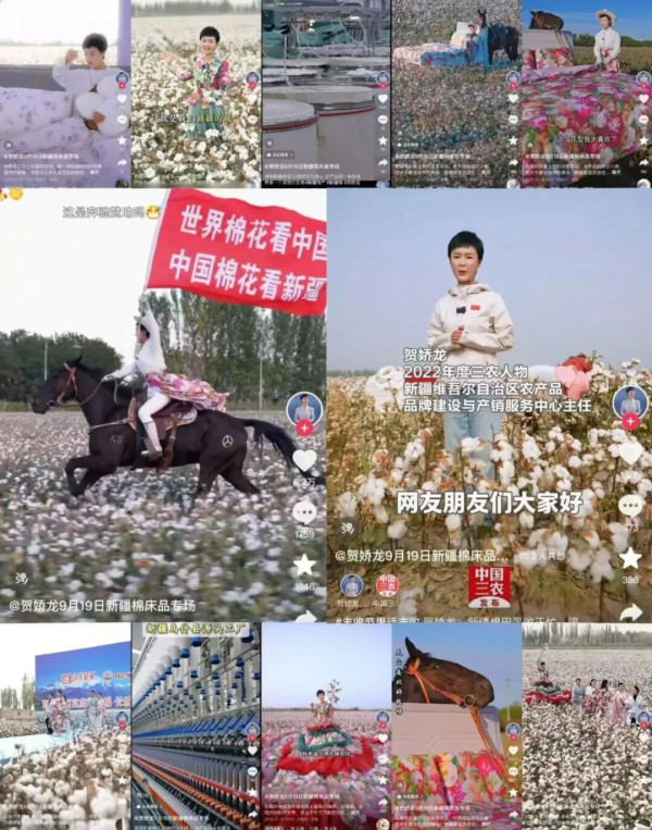 陈先义：向“天山焦裕禄”式的好干部贺娇龙学习的民间倡议
