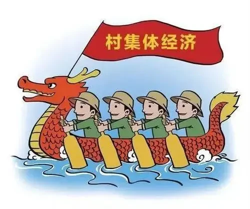 实现共同富裕，要充分发挥农村集体经济的作用