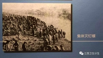 以史为镜,毛主席是如何抗疫的?