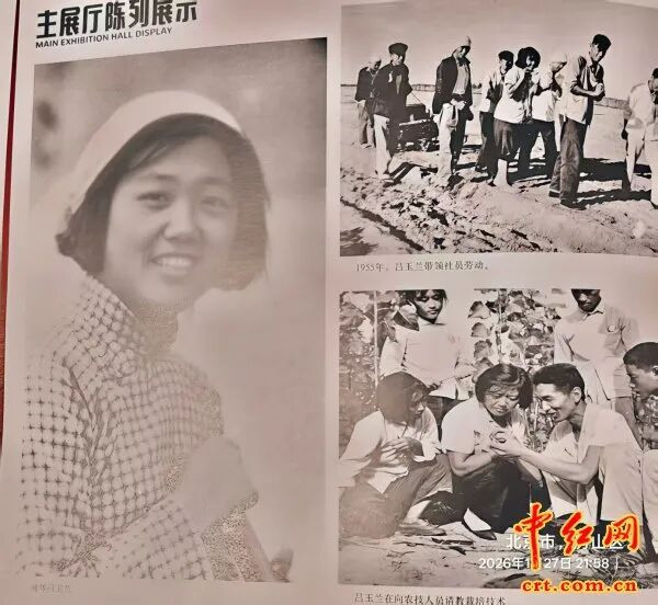 玉兰花开映初心、初心照后人