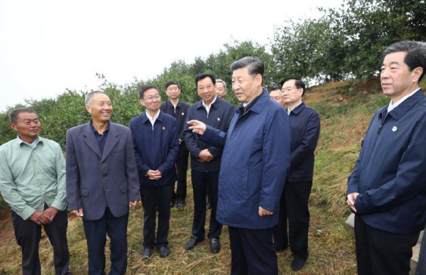农民丰收节,且听田间习语话农桑